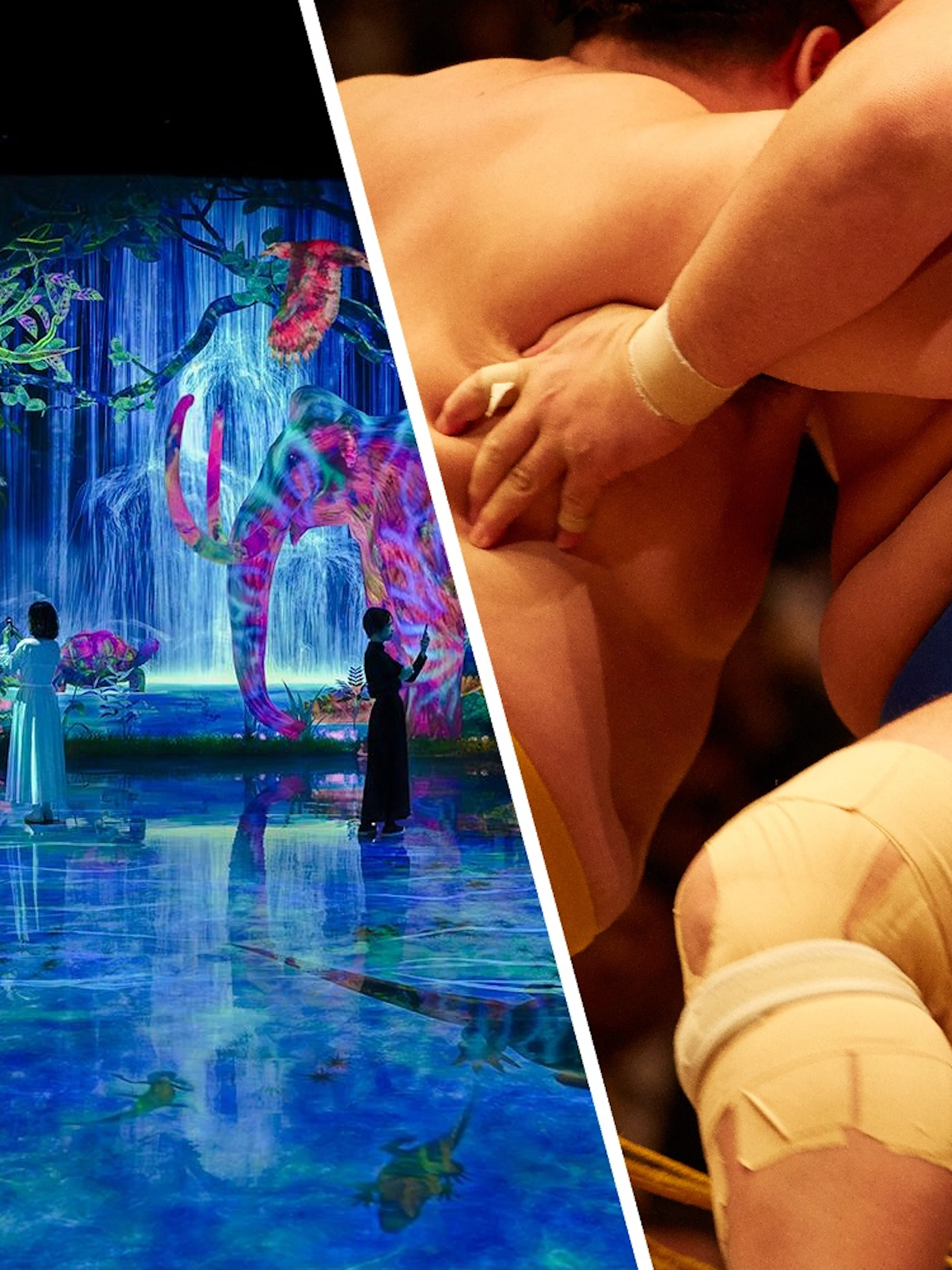 Interactive digital forest with colorful animals at teamLab Planets, Tokyo.