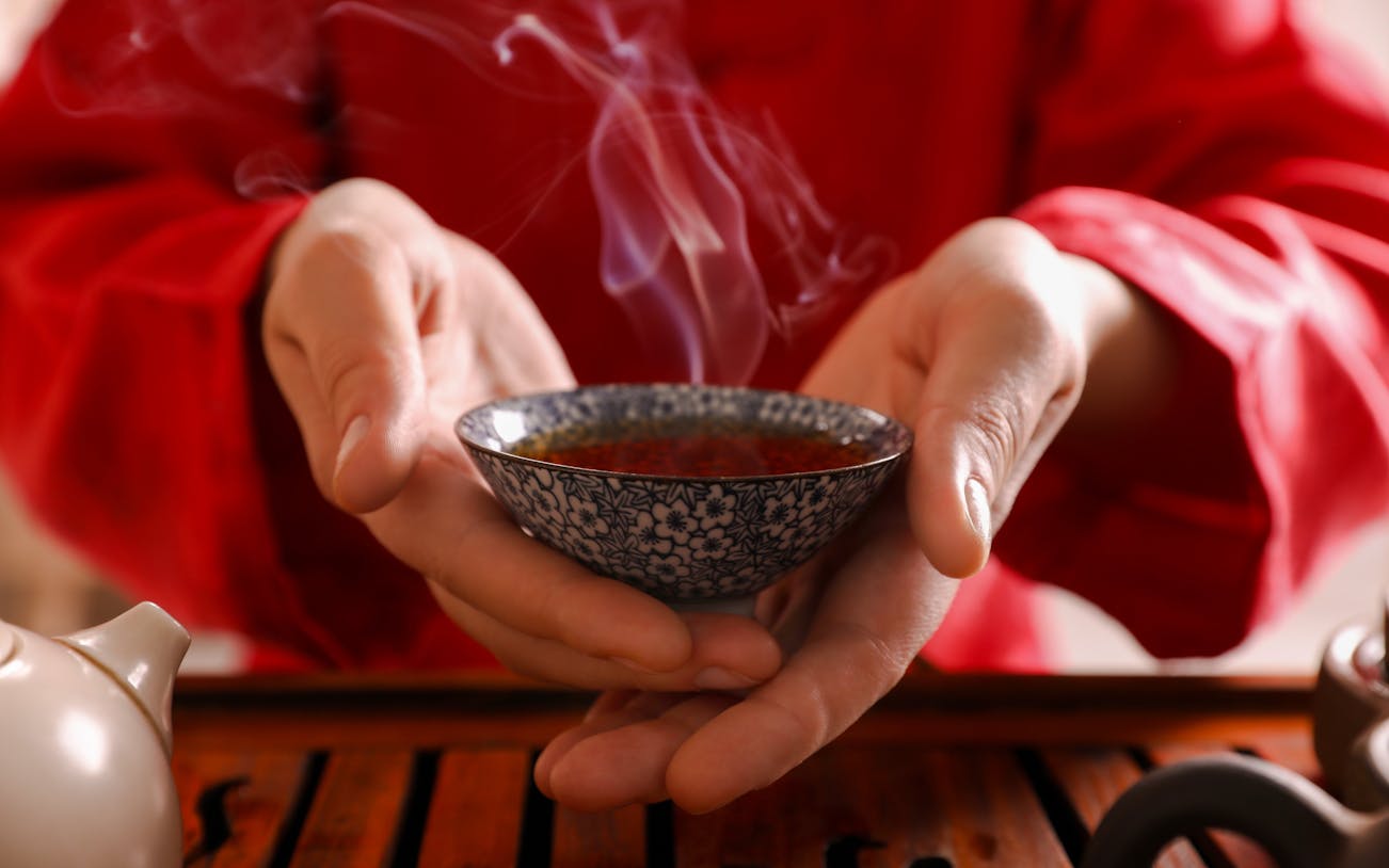 Master presenting steaming tea cup during traditional ceremony.