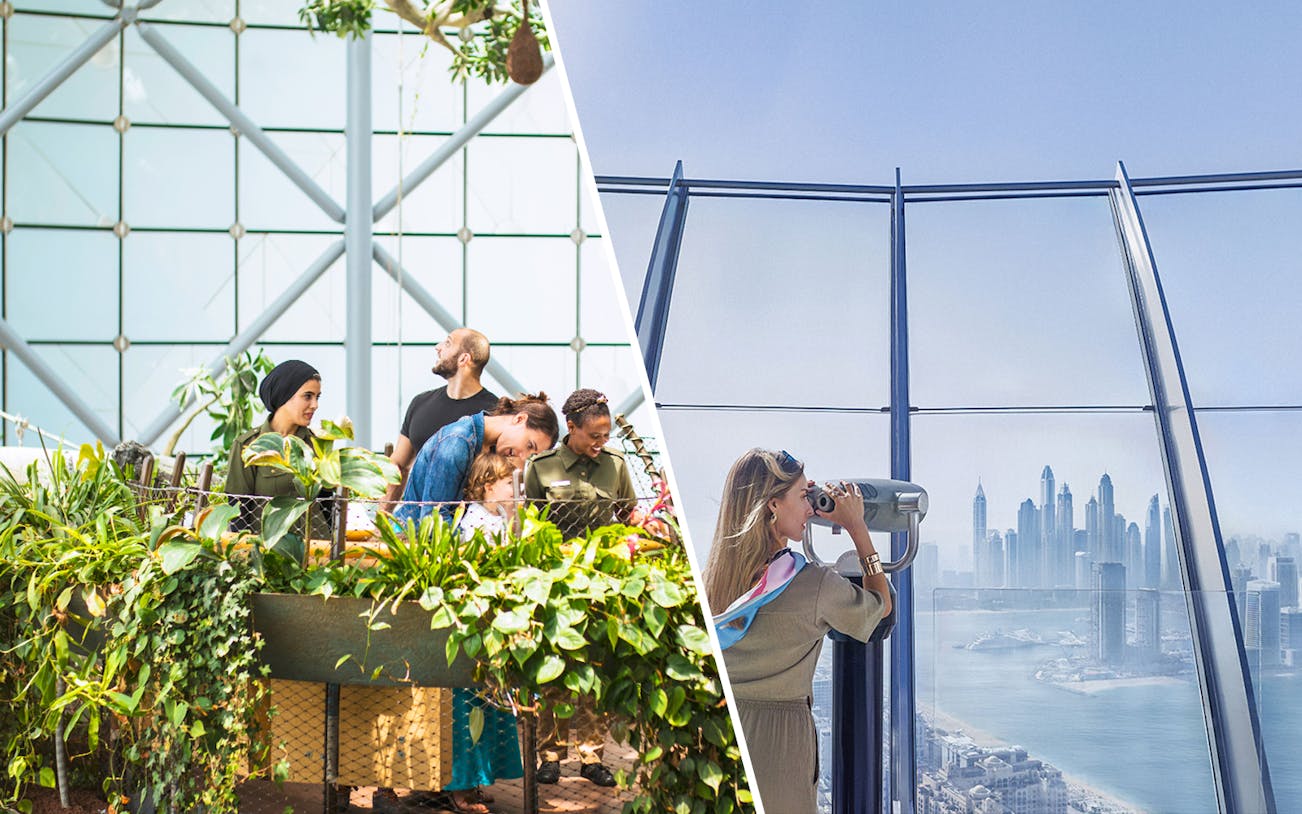 Visitors exploring The Green Planet and viewing Dubai skyline from The View At The Palm.