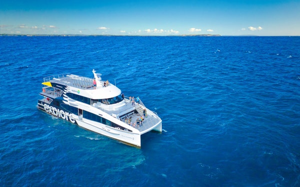 From Auckland: Tikapa Moana Whales, Dolphins & Islands Cruise