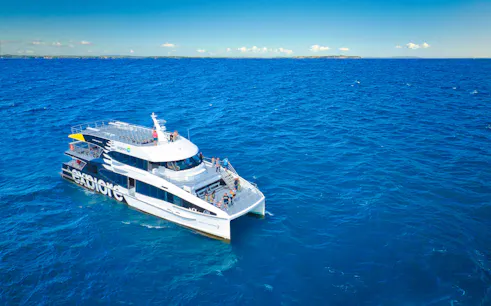 Cruise ship on Auckland's Tikapa Moana, passengers enjoying ocean views.