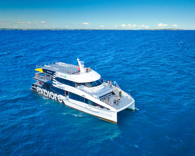 From Auckland: Tikapa Moana Whales, Dolphins & Islands Cruise