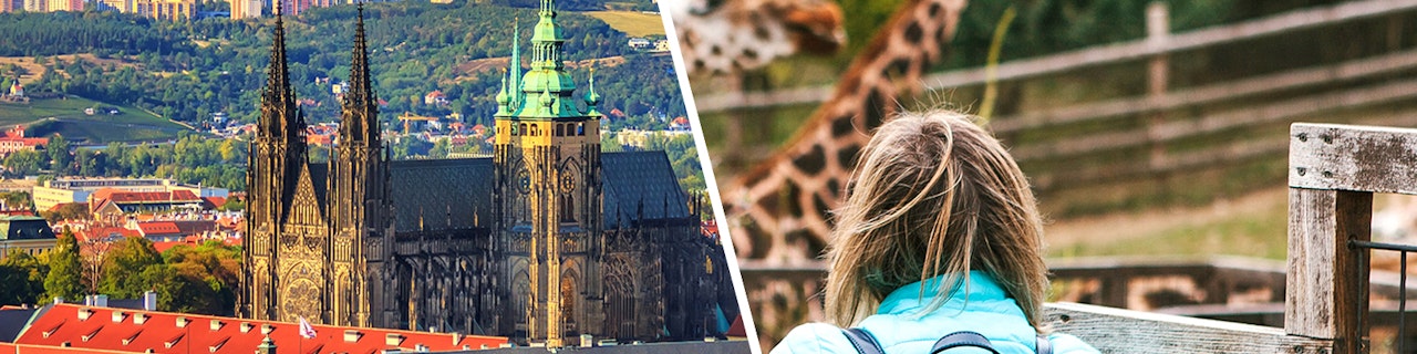 Combo: biglietti Salta la Fila per il castello di Praga + Biglietti per lo zoo di Praga
