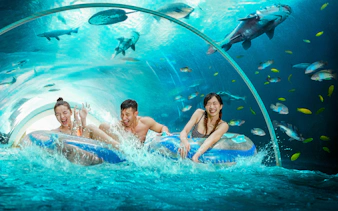 Visitors enjoying a water ride through an aquarium tunnel at Singapore Oceanarium.