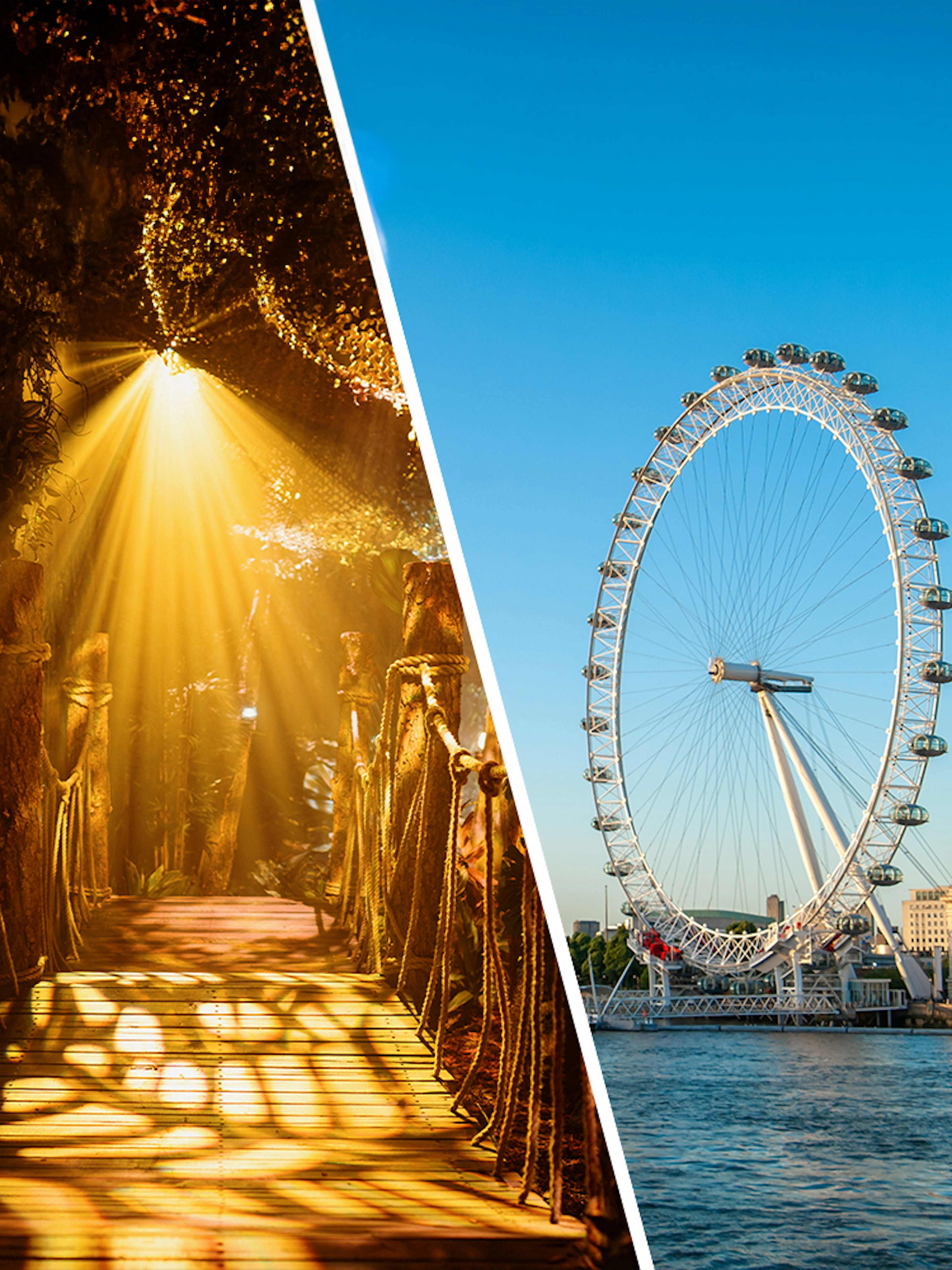 Paddington Experience forest path and London Eye on the Thames in London.