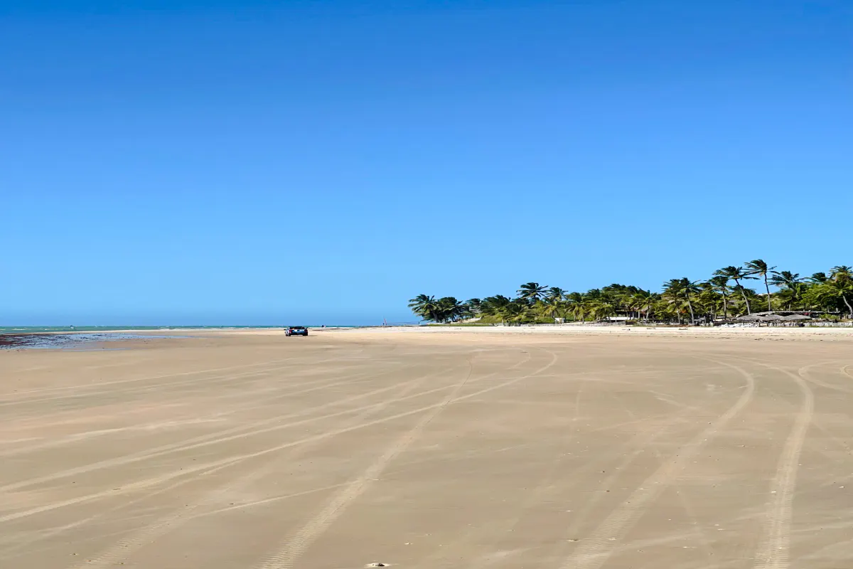 Expansive sandy beach with palm trees and a distant vehicle, Icaraí de Amontada, Brazil.