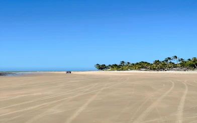 Expansive sandy beach with palm trees and a distant vehicle, Icaraí de Amontada, Brazil.