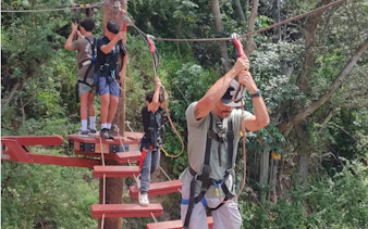 Participants navigating a high ropes course with harnesses in a forest setting.