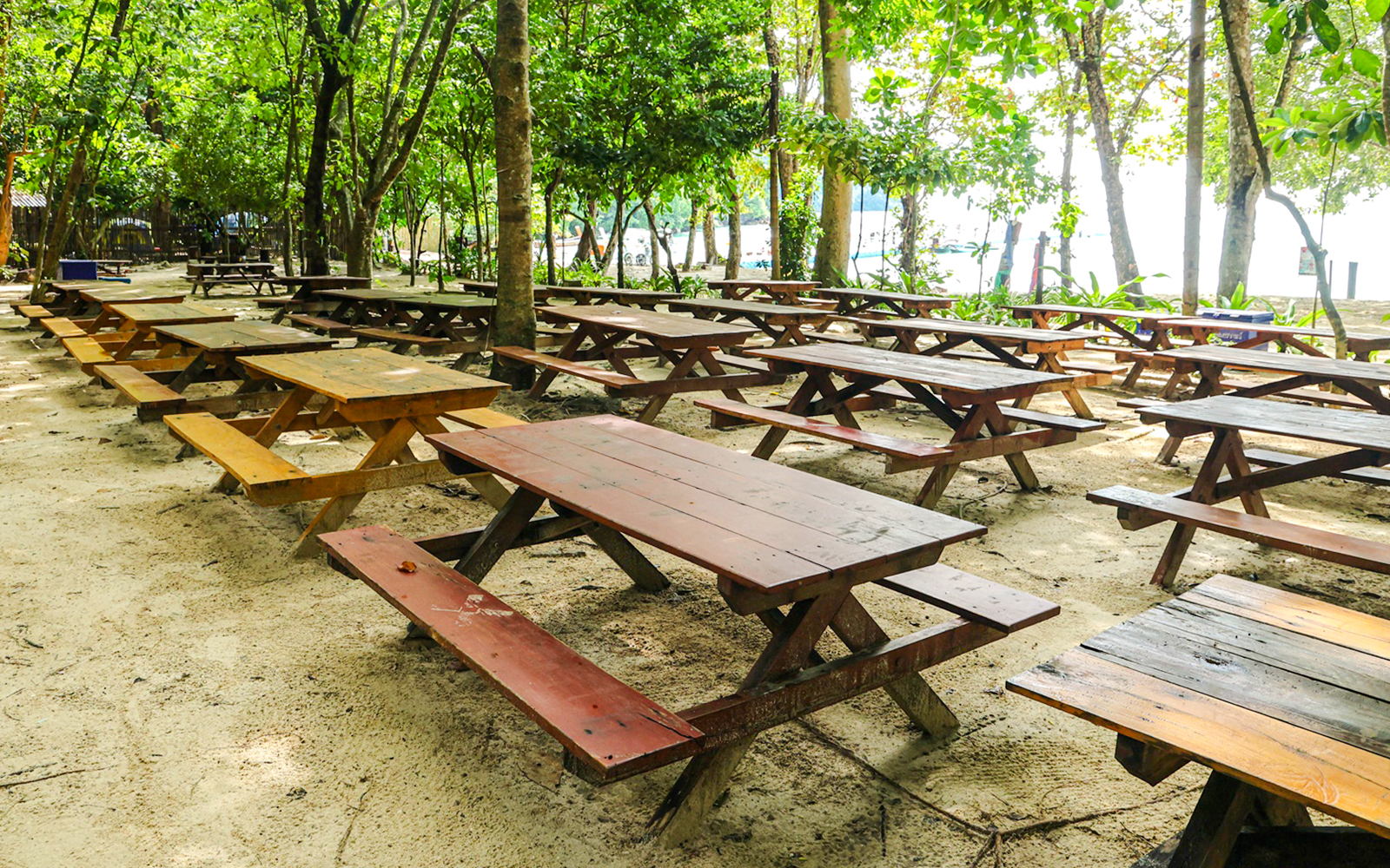 Picnic tables on sandy beach surrounded by trees in Surin Islands.