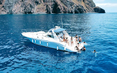 Boat tour near Calheta with people swimming and enjoying dolphin and whale watching.