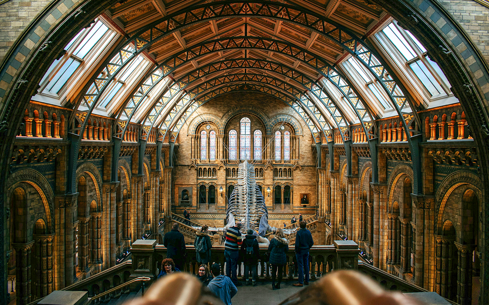 Visitors inside the Natural History Museum, London, viewing the grand hall and dinosaur skeleton.