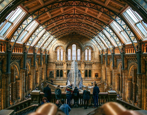 Visitors inside the Natural History Museum, London, viewing the grand hall and dinosaur skeleton.