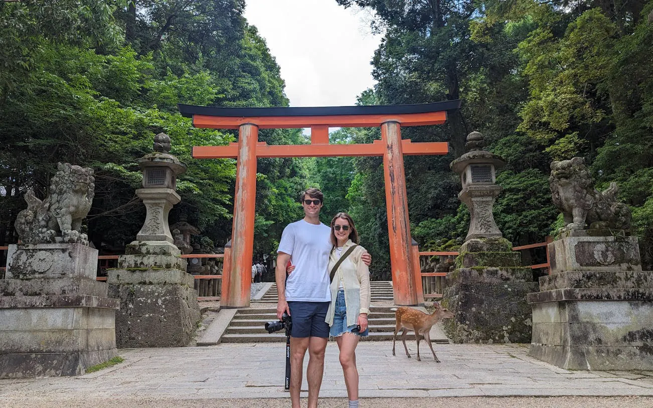 vandretur i nara: todaiji-tempelet, gangoji-tempelet, hjorteparken og te-seremonien-8