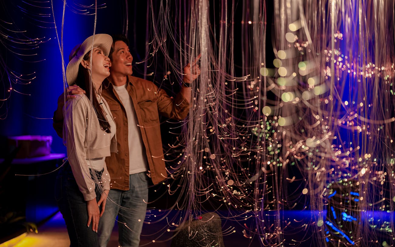 Couple admiring light installation at Enchanted Forest exhibit.
