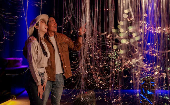 Couple admiring light installation at Enchanted Forest exhibit.