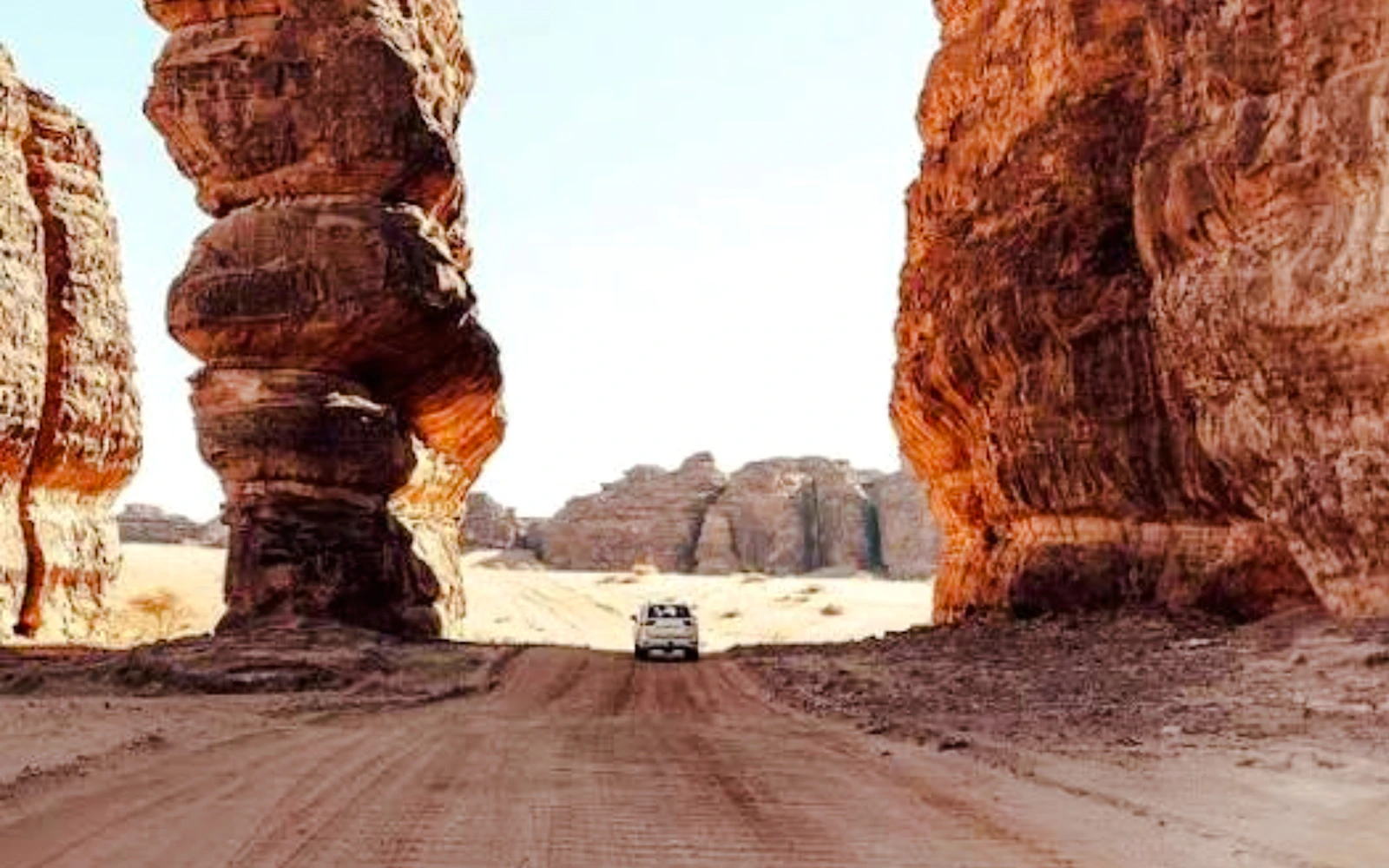 From AlUla: Hegra Nature Reserve Guided 4x4 Wildlife Safari Image 3