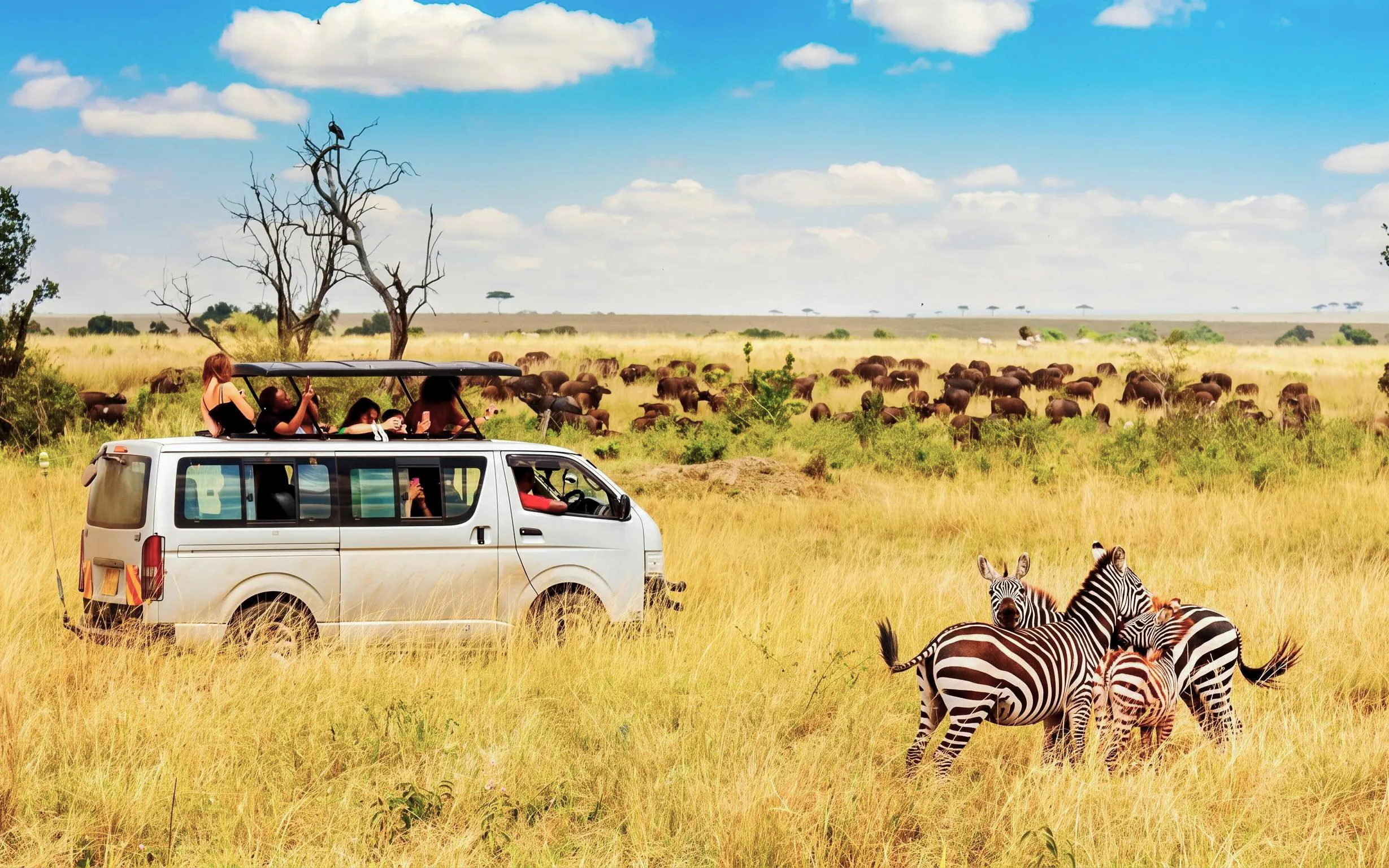 From Nairobi: 4-Day Masai Mara and Lake Naivasha Safari With Stays, and Entry Fees