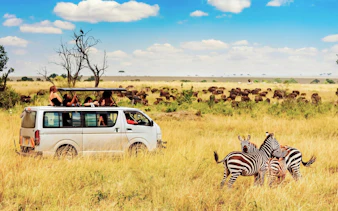 Safari van with tourists observing zebras and wildebeests in the African savanna.