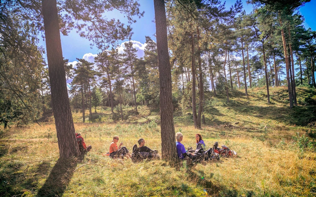 Visitors relaxing in a forest clearing at Hoge Veluwe National Park, Netherlands.