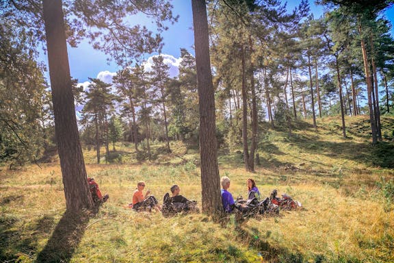 guided day tour of kröller müller museum & hoge veluwe national park from amsterdam-6