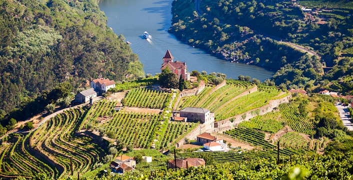 Vineyards and river view in Douro Valley, Portugal.