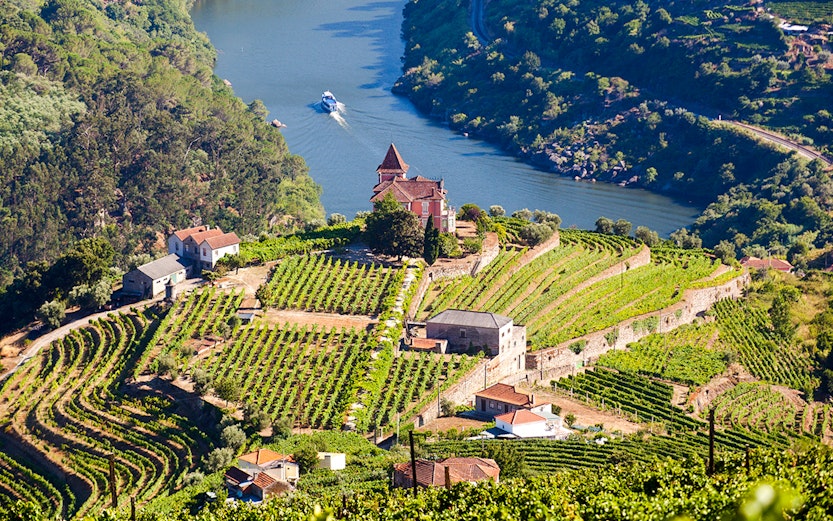Vineyards and river view in Douro Valley, Portugal.