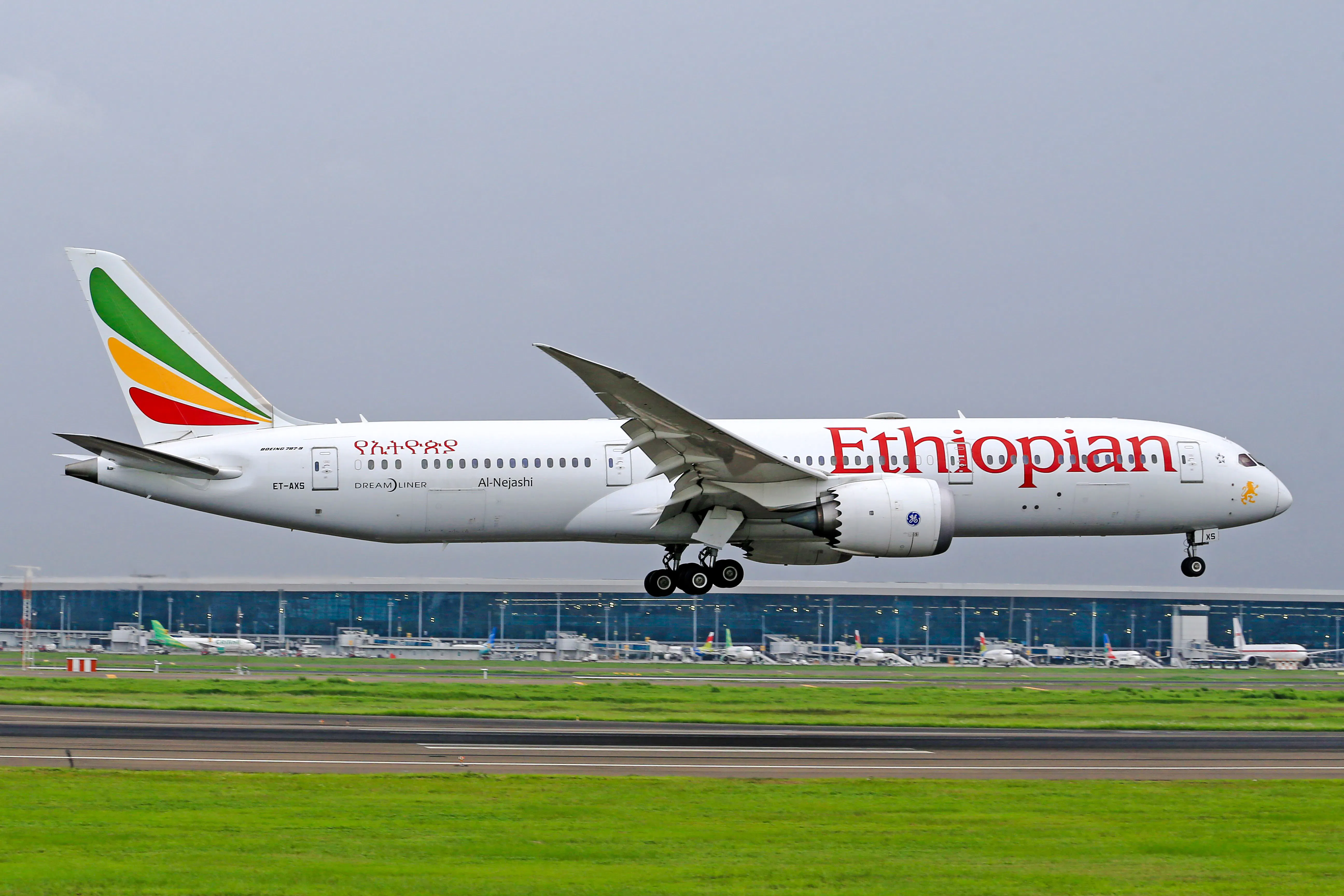 nairobi: stopover & layover tour – private, fast & flexible-1