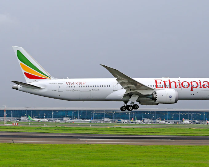Nairobi Private Layover Tour With Jomo Kenyatta Airport Pickup and Drop-Off