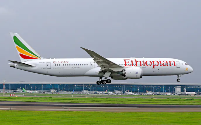 nairobi: stopover & layover tour – private, fast & flexible-1