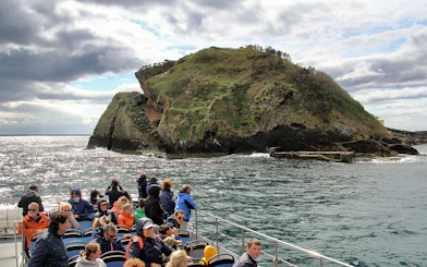 Tourists on a boat near a rocky island during a whale and dolphin watching tour.