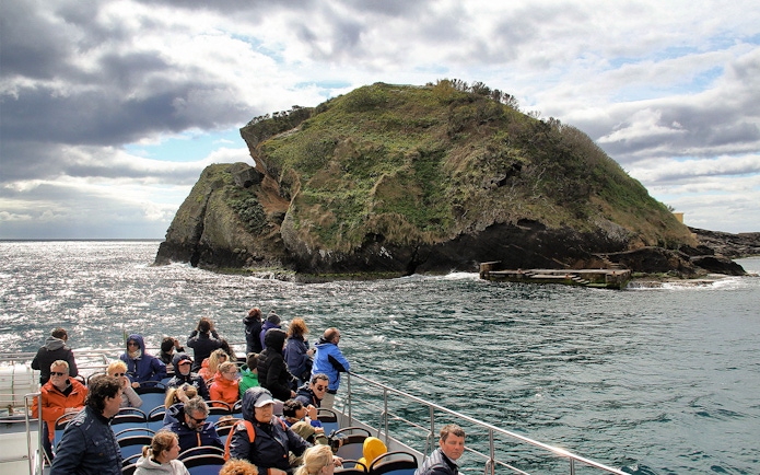 Tourists on a boat near a rocky island during a whale and dolphin watching tour.