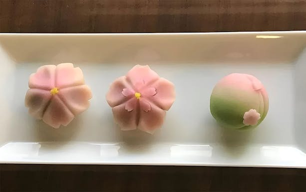 Traditional Japanese wagashi sweets on a plate, featured in Tokyo wagashi-making class.