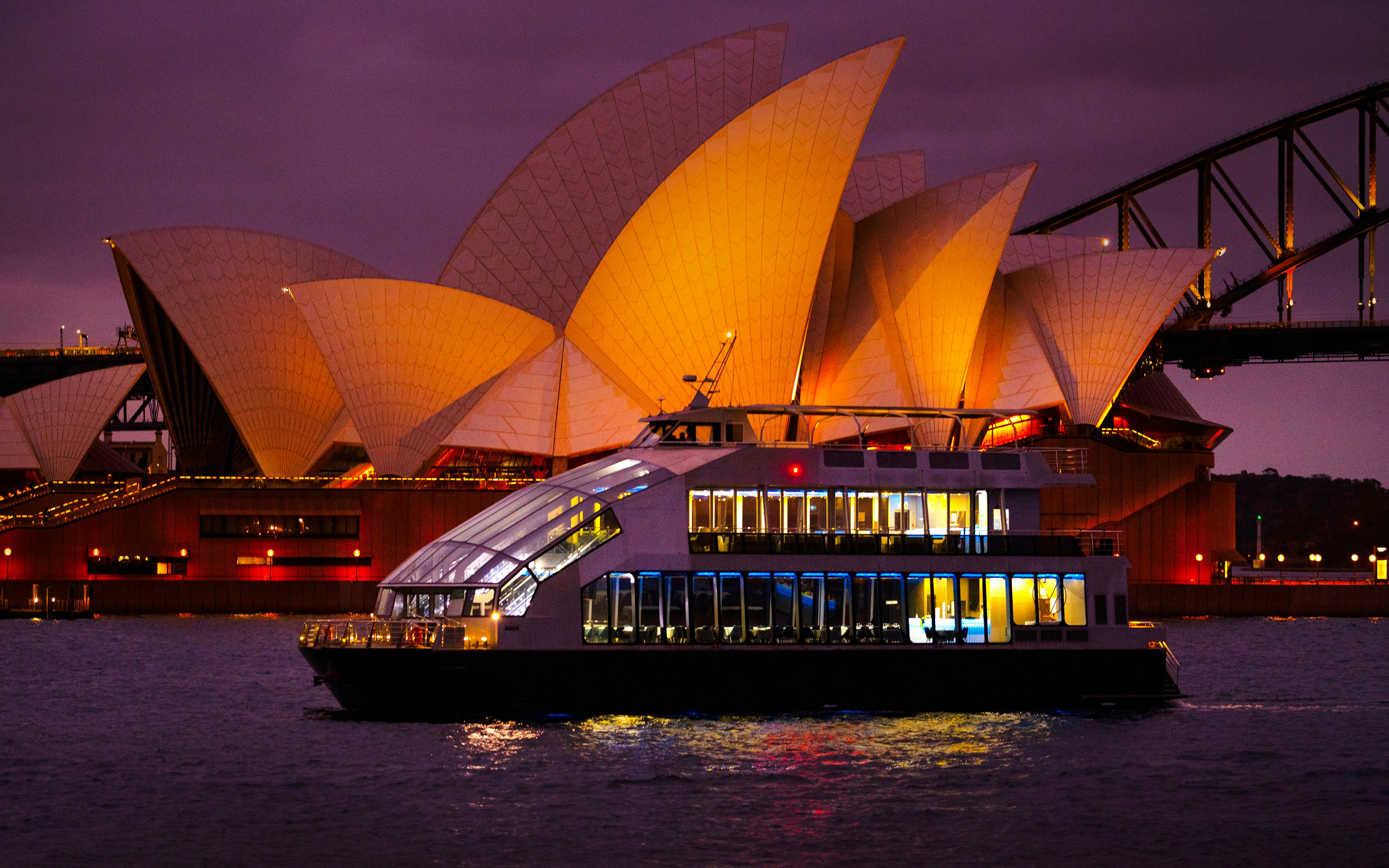 Cruise ship on Sydney Harbour with Opera House illuminated at night.