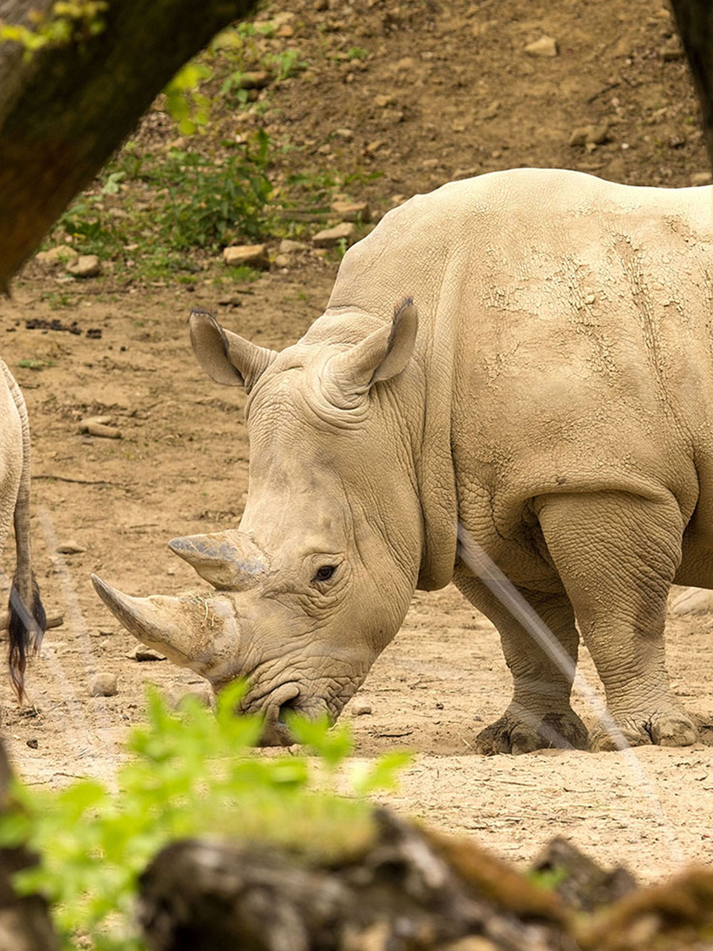 Out of Africa Wildlife Park