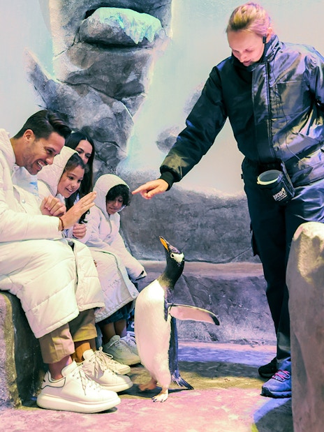 Family interacting with a penguin at Dubai Aquarium & Underwater Zoo.