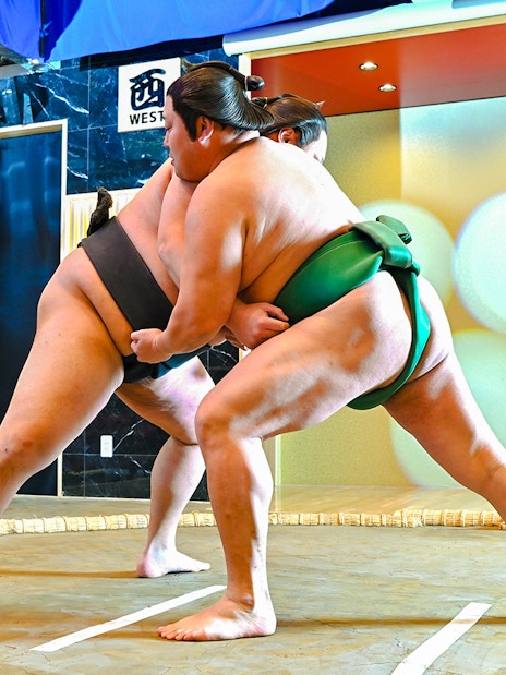 Sumo wrestlers grappling at Asakusa Sumo Club, Tokyo.
