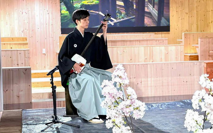 Musician performing Japanese shamisen music on stage with cherry blossoms.