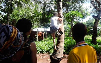 Person climbing a tree during Duruma traditional wedding demo in Diani Beach village.