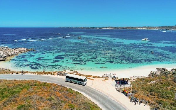 From Fremantle: Rottnest Island Guided Bus Tour with Return Ferry