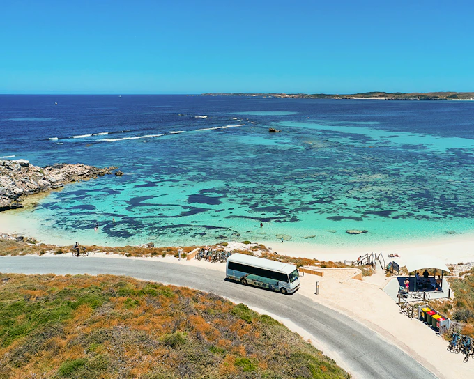 From Fremantle: Rottnest Island Guided Bus Tour with Return Ferry