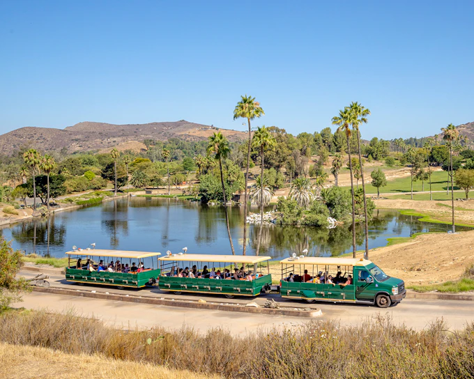San Diego Zoo & Safari Park 2-Visit Pass
