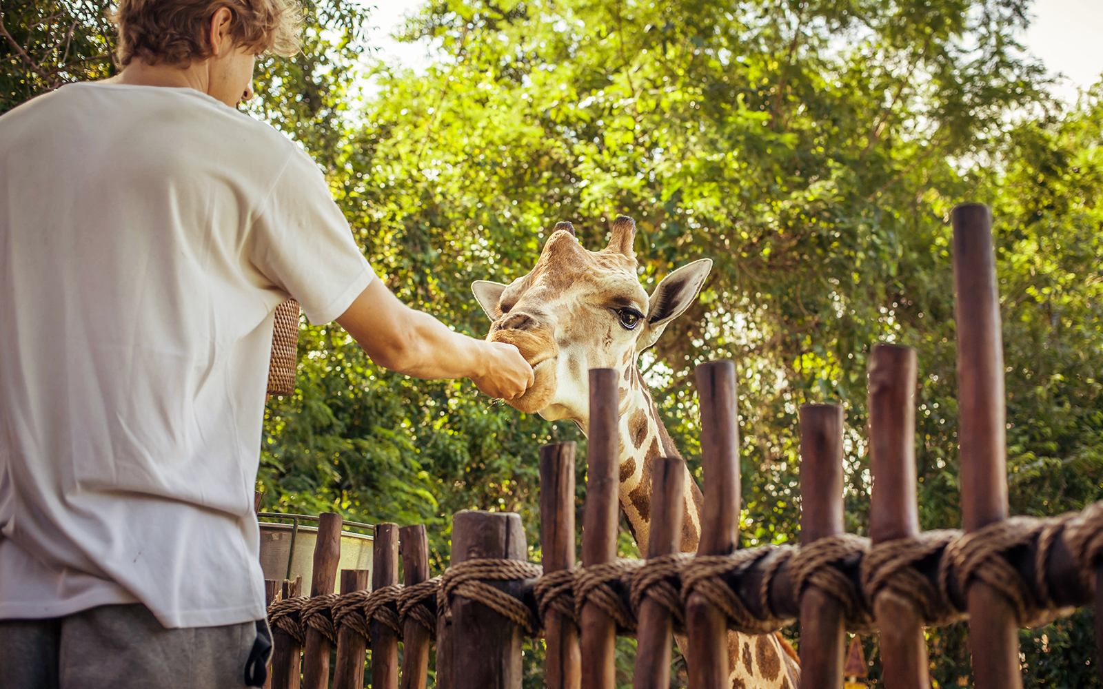 orari di apertura dello zoo