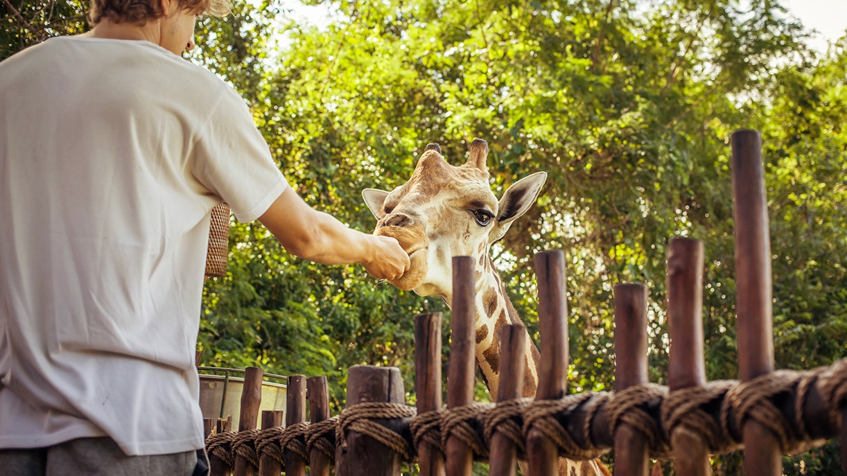 orari di apertura dello zoo