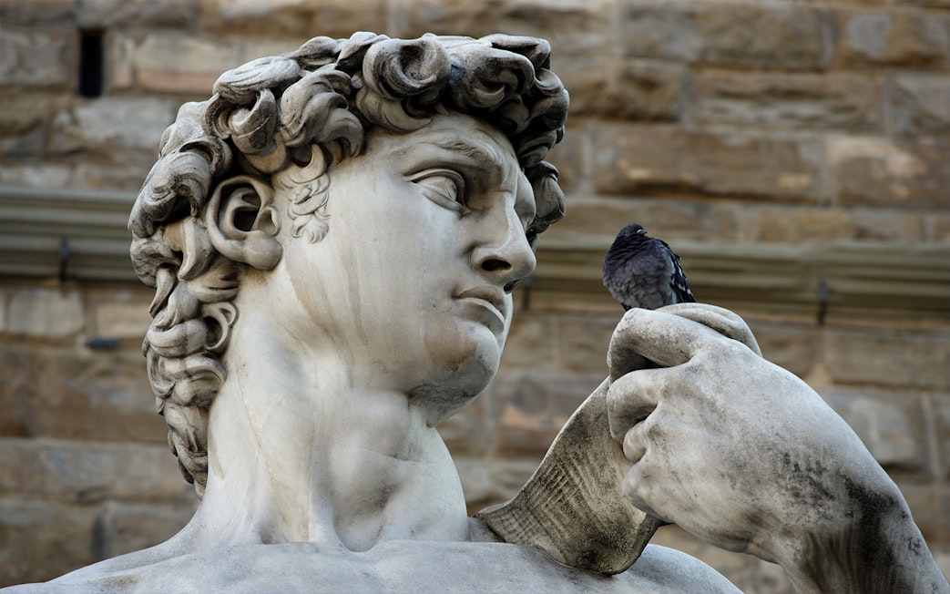 David statue detail with pigeon, Florence guided tour, Duomo and Accademia Gallery tickets.