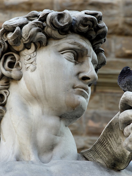 David statue detail with pigeon, Florence guided tour, Duomo and Accademia Gallery tickets.