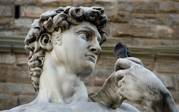 David statue detail with pigeon, Florence guided tour, Duomo and Accademia Gallery tickets.