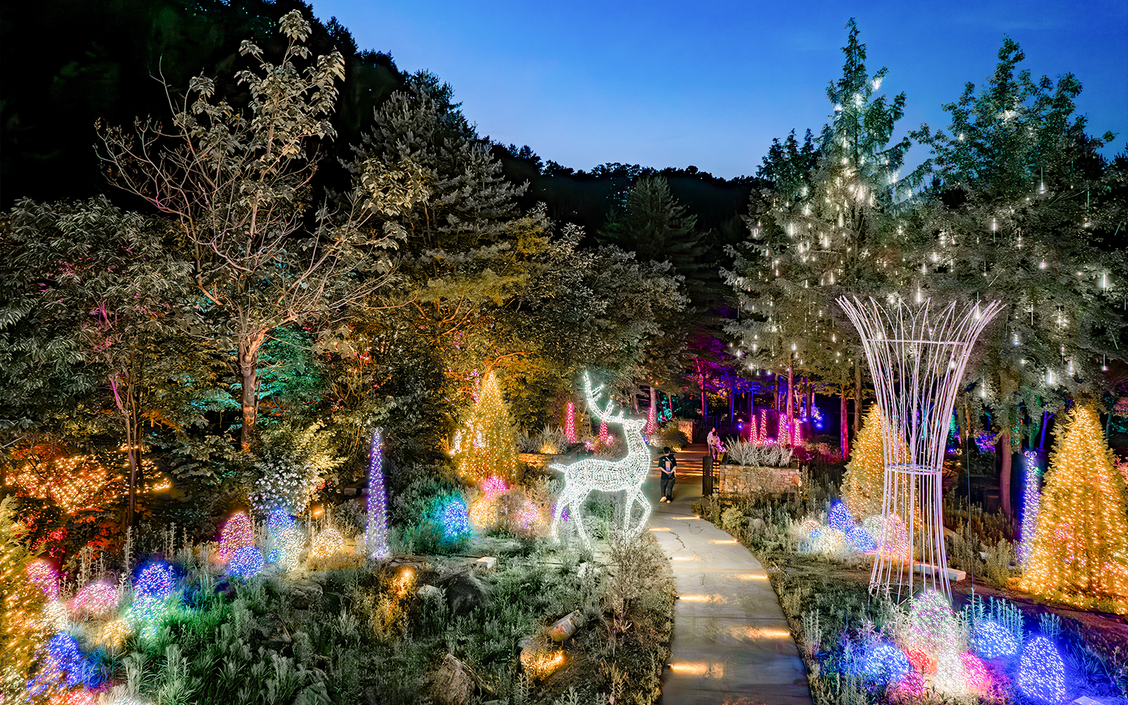 Illuminated garden path with light displays and deer figure at The Healing Park at night.