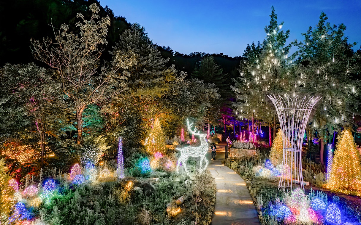Illuminated garden path with light displays and deer figure at The Healing Park at night.