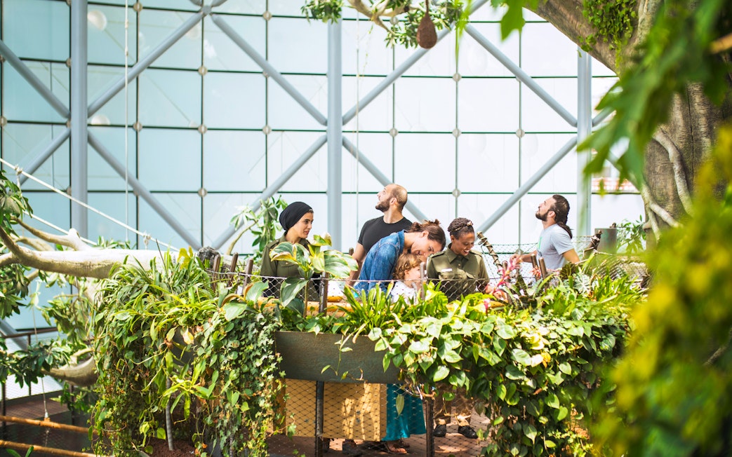Visitors exploring lush greenery at Green Planet Dubai.