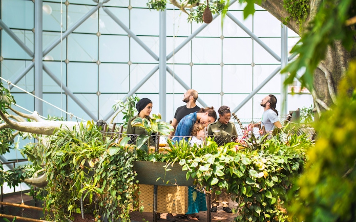 Visitors exploring lush greenery at Green Planet Dubai.